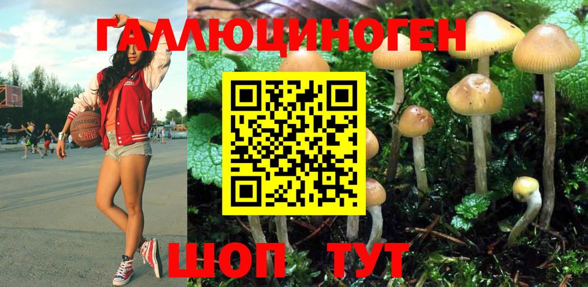 Осинники  Галлюциногенные грибы мухоморы  Вход с VPN 