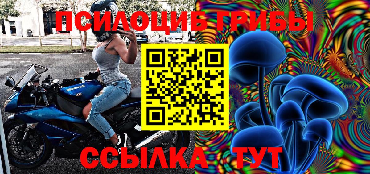 Псилоцибиновые грибы Cubensis Осинники