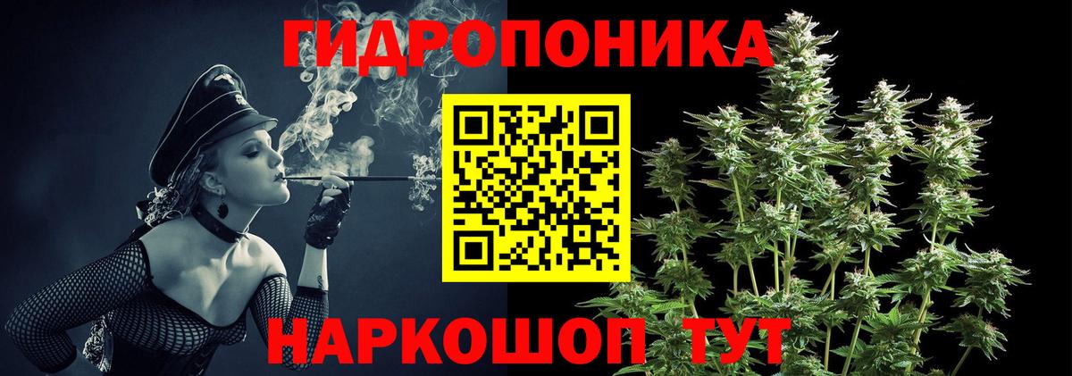 Шишки марихуана марихуана  Бошки марихуана планчик  Осинники  Каннабис MAZAR  Конопля Amnesia  Вход с VPN 